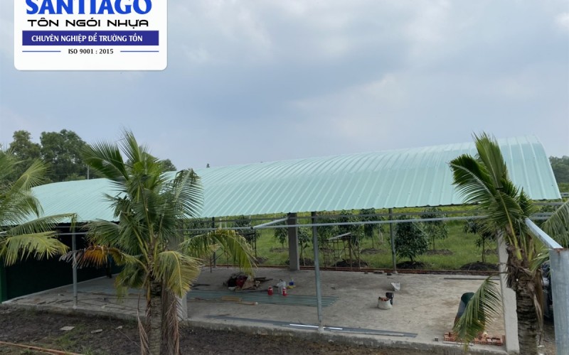 Mái Chuồng Trại Chăn Nuôi: Lợp Tôn Nhựa Chịu Hơi Amoniac