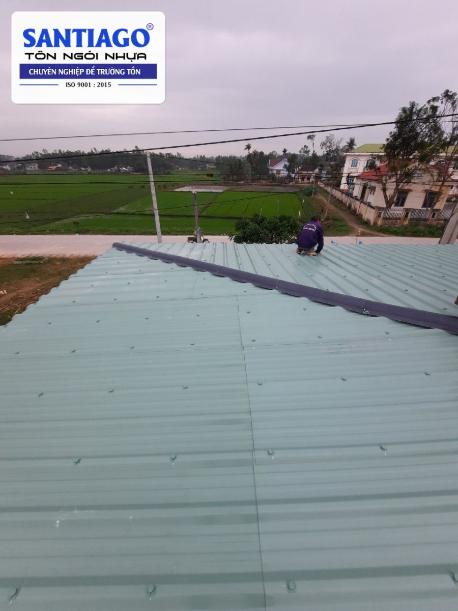 Mái tôn nhựa xanh ngọc dài của một công trình nông nghiệp