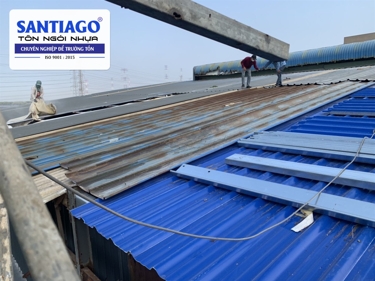 Tôn nhựa xanh dương thay dần cho tôn cũ trên mái nhà xưởng